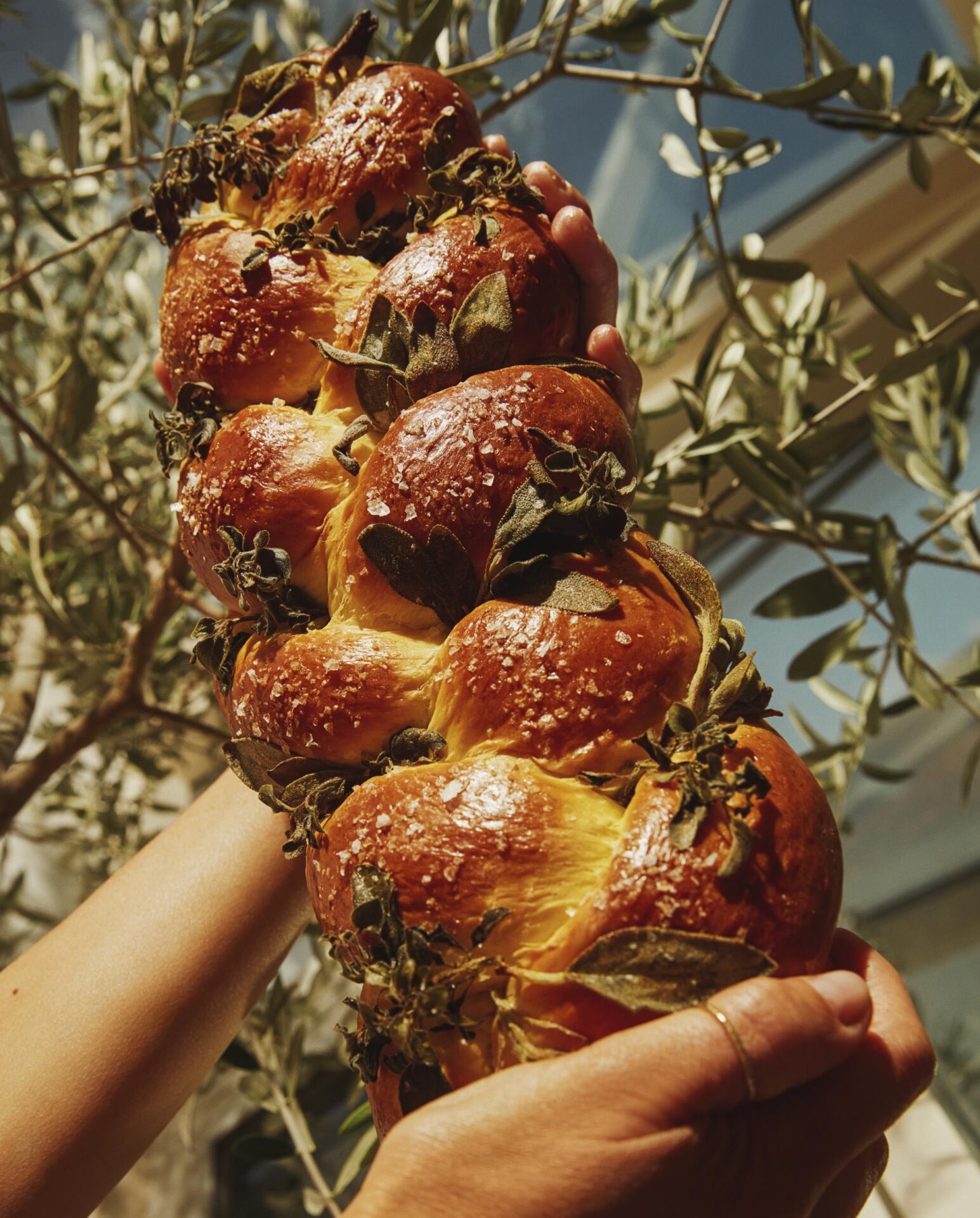 1898 CB 11B EDEN TAHINI CHALLAH_127